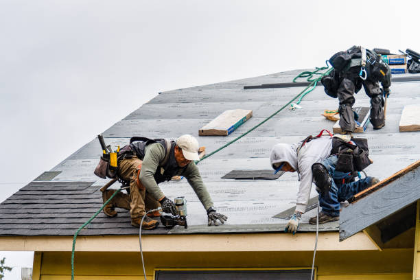 Professional Gutter Installation technician working in Aurora, NE